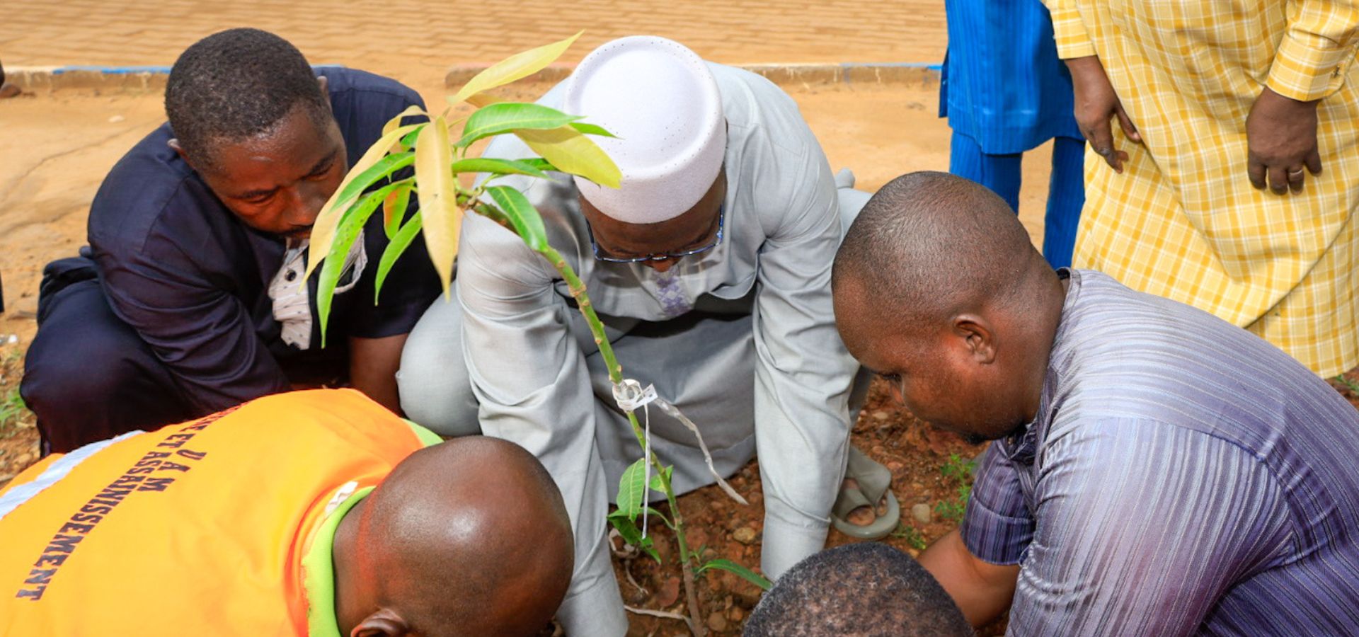 03 Août 2026 : Journée Nationale de l’arbre, à l'UAM, le campus plante son avenir